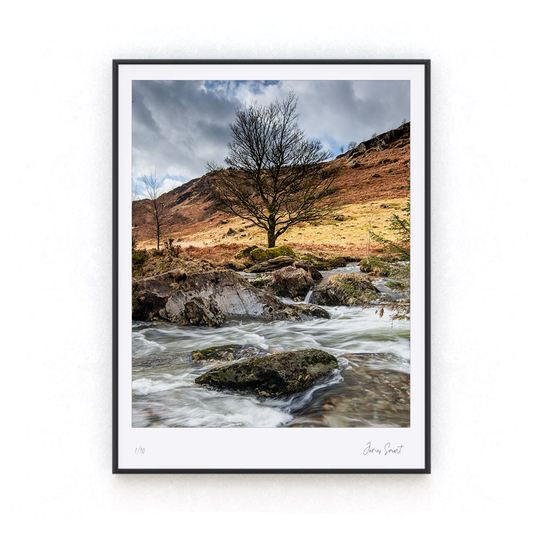 Irfon River tree print in a black frame James smart photography