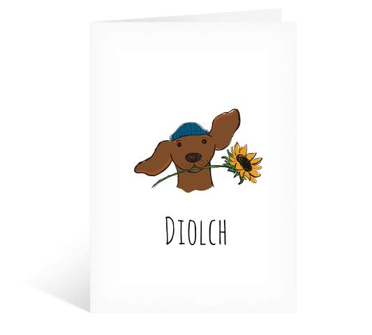 Diolch Dachshund Dog Card, Thank You Card with Cute Dachshund Welsh Card