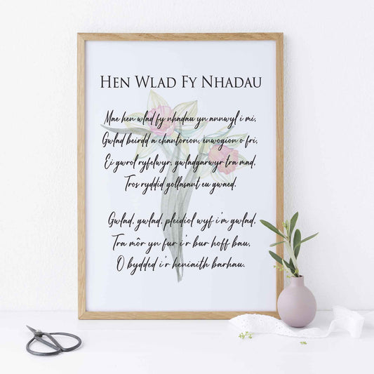Welsh Daffodil National Anthem Verse Chorus With Daffodil Background Print